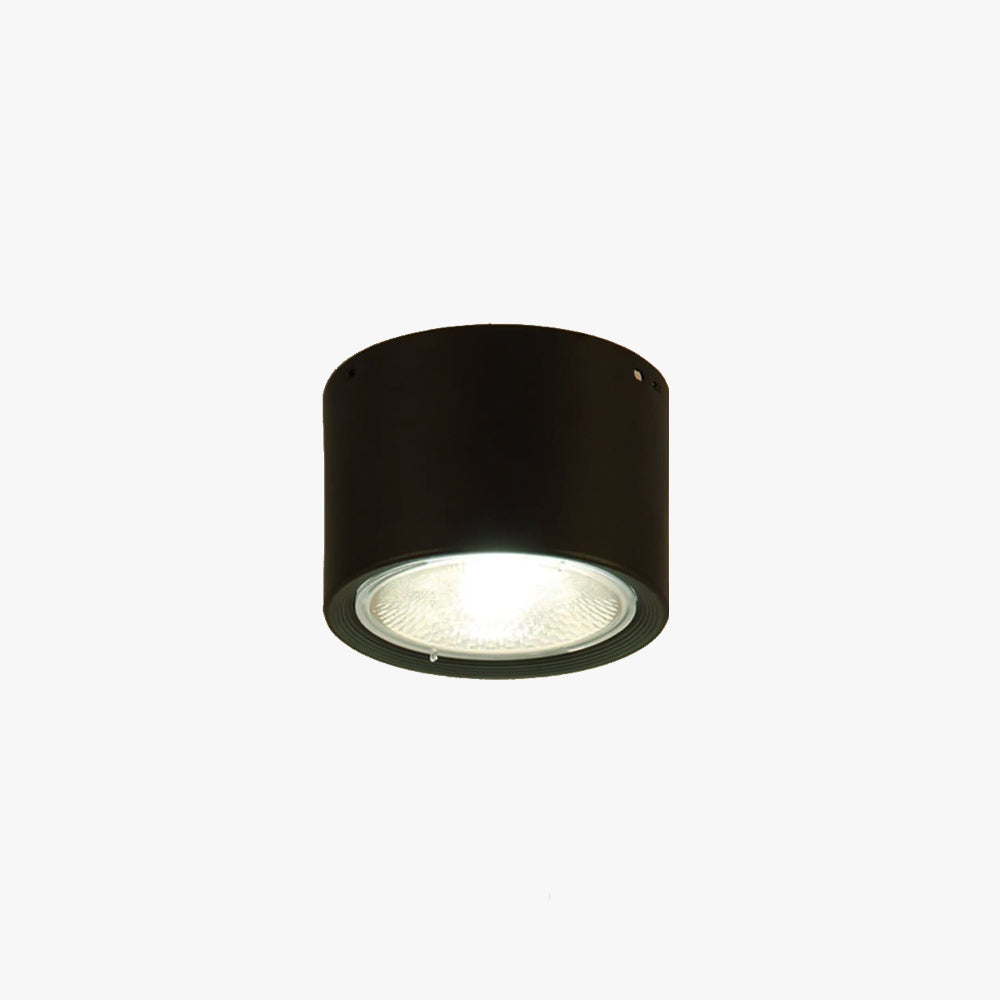 Ozawa Moderne Ronde Plafondlamp Hout/Zwart Woonkamer